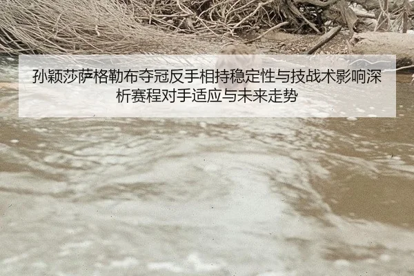 孙颖莎萨格勒布夺冠反手相持稳定性与技战术影响深析赛程对手适应与未来走势
