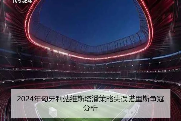 2024年匈牙利站维斯塔潘策略失误诺里斯争冠分析